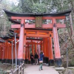 Torii Gates on the path