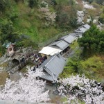 The Lower portion of Kiyomizu-dera