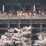 Support Beams under Kiyomizu-dera