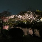 The Toji Gardens at Night