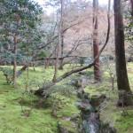 Gardens at Ginkaku-ji 3