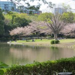 Kitanomaru Park 1