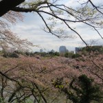 Tokyo from Kitanomaru Park