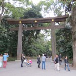 Meiji Jingu Torii