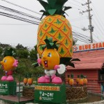 Nago Pineapple Park