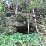Jungle Cliffs 3