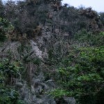 Jungle Cliffs 4