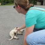 Rachel's Puppy Friend