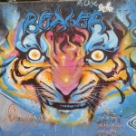 Grafitti 5
