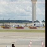 Just a Birb waiting on his flight...